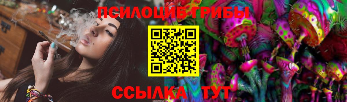 Дзержинский  Псилоцибиновые грибы мицелий  Вход с VPN  Галлюциногенные грибы Psilocybe 